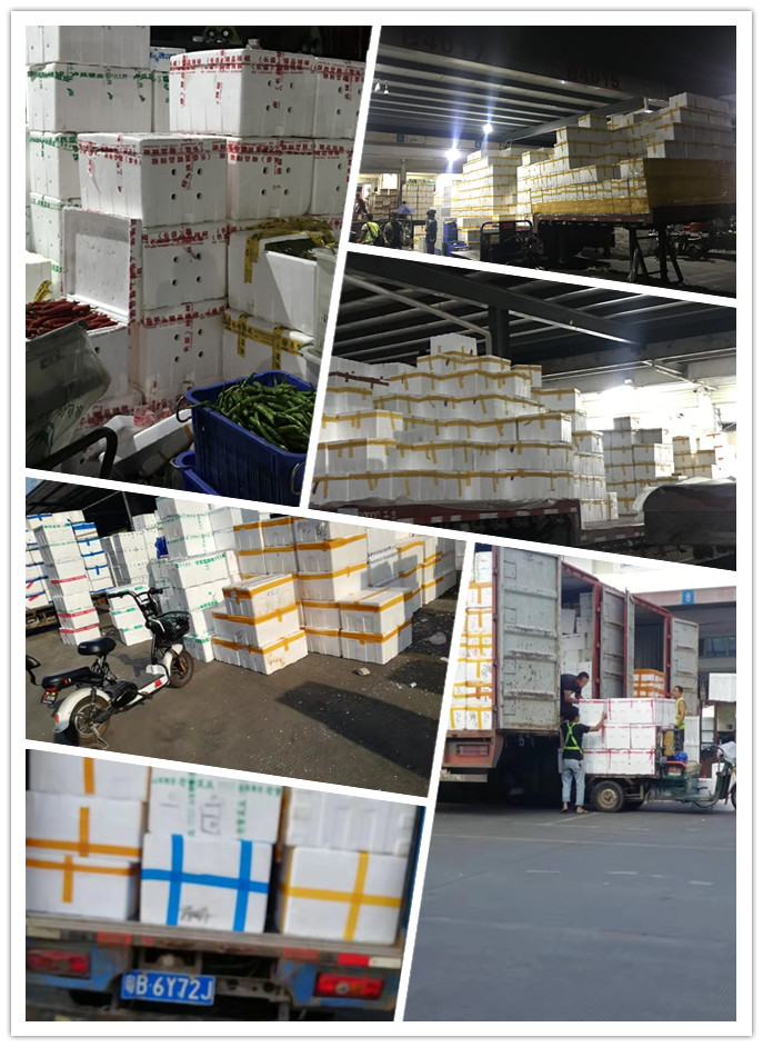 首页| PA视讯集团中国官方网站