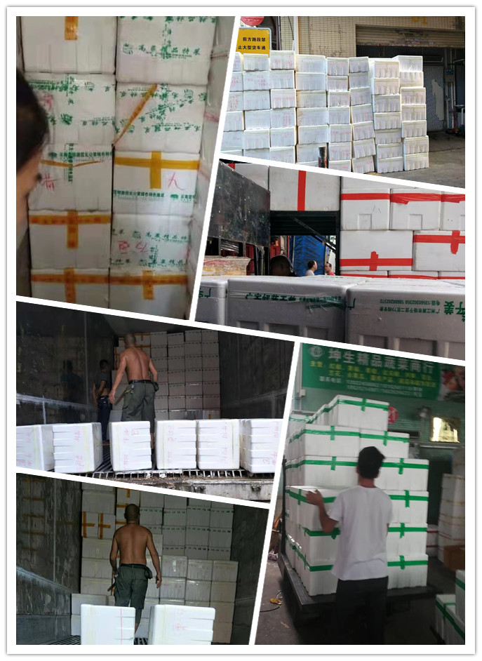 首页| PA视讯集团中国官方网站