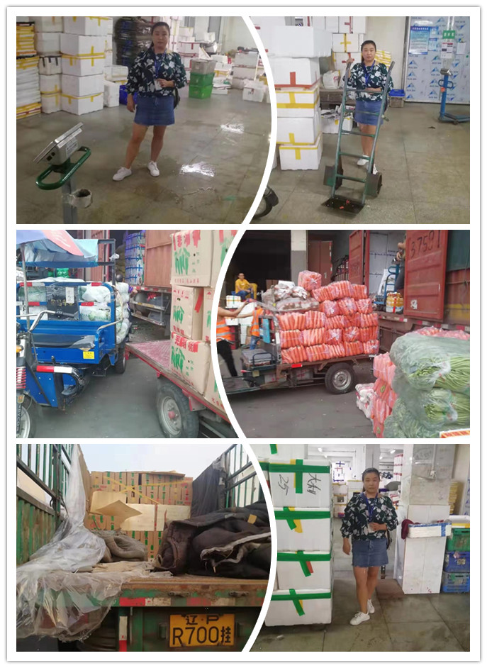 首页| PA视讯集团中国官方网站