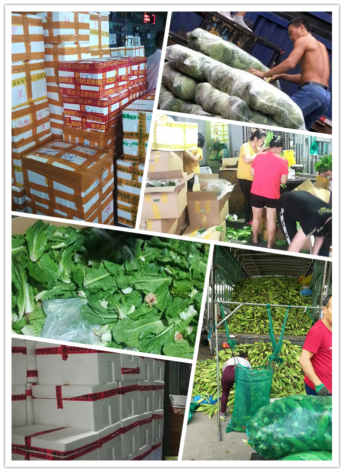 首页| PA视讯集团中国官方网站