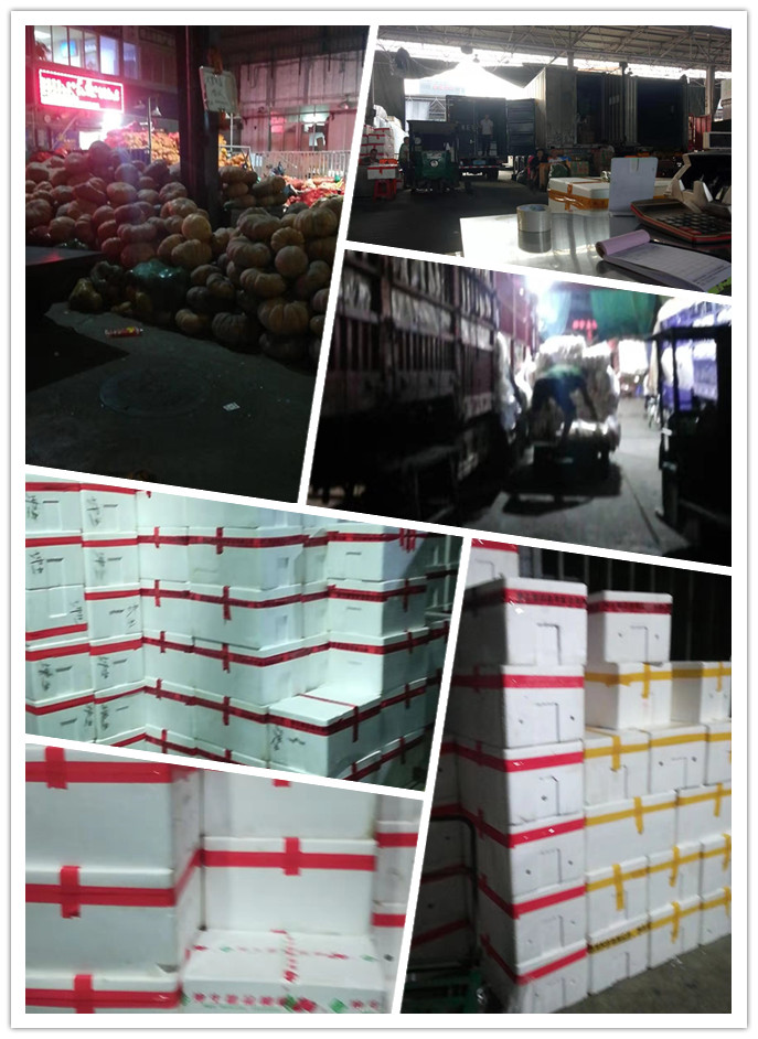 首页| PA视讯集团中国官方网站