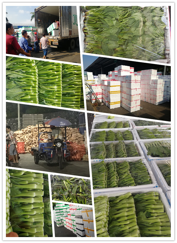 首页| PA视讯集团中国官方网站