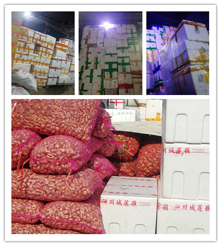 首页| PA视讯集团中国官方网站