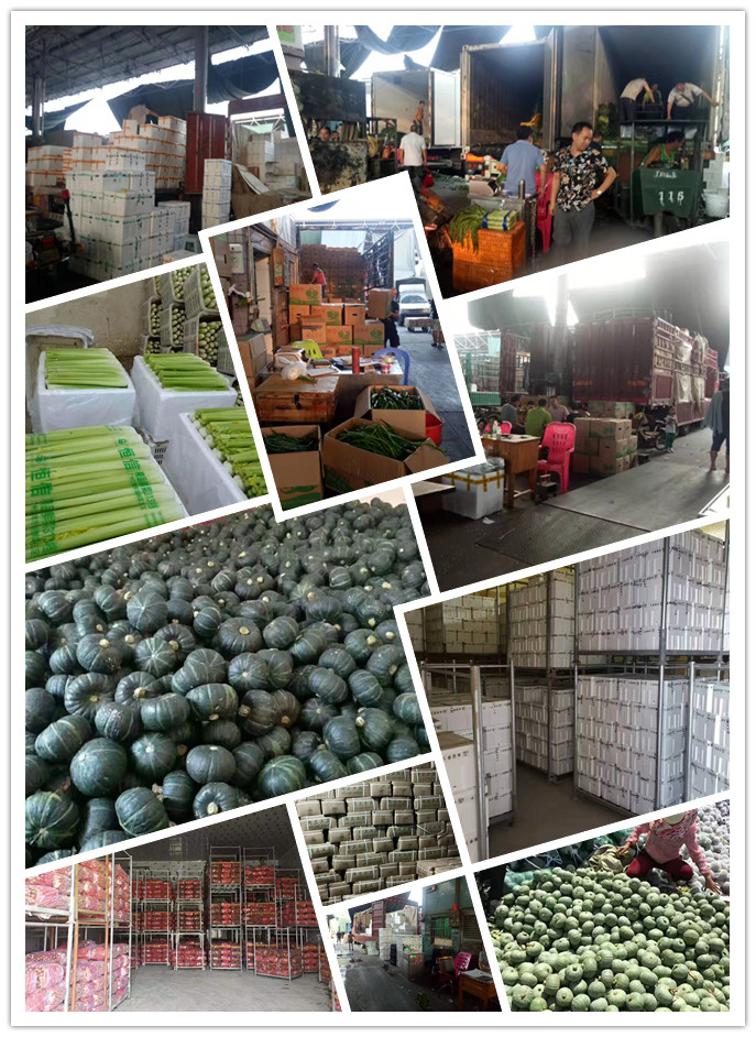 首页| PA视讯集团中国官方网站