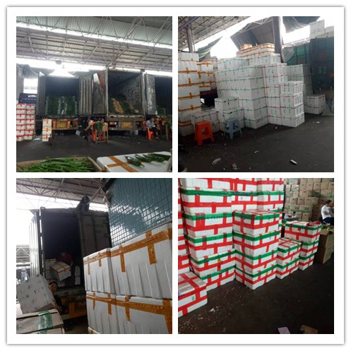 首页| PA视讯集团中国官方网站