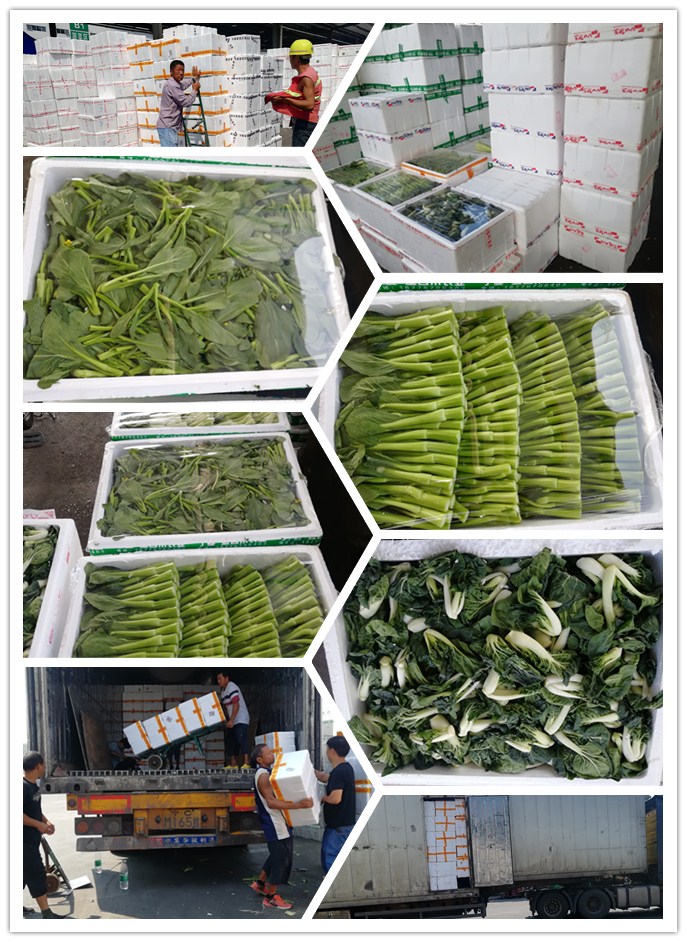 首页| PA视讯集团中国官方网站