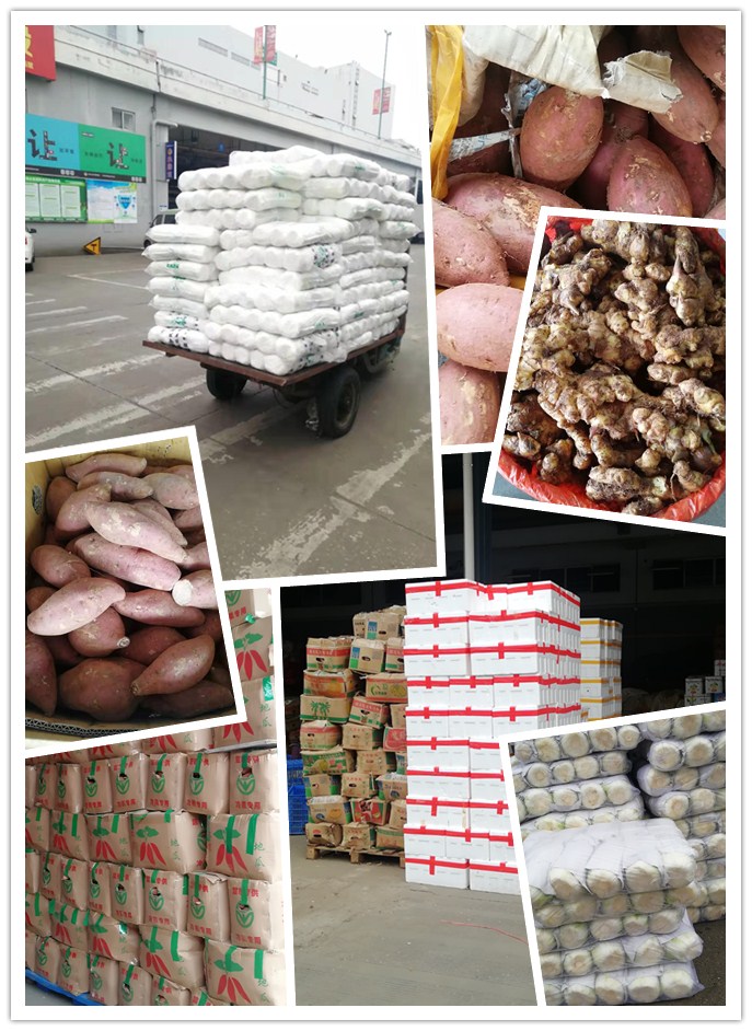 首页| PA视讯集团中国官方网站