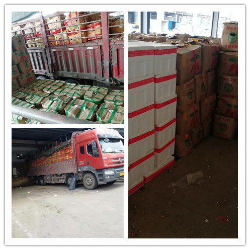 首页| PA视讯集团中国官方网站