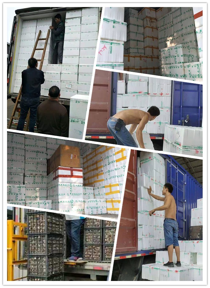 首页| PA视讯集团中国官方网站