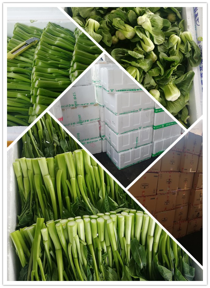 首页| PA视讯集团中国官方网站