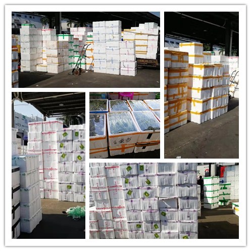 首页| PA视讯集团中国官方网站