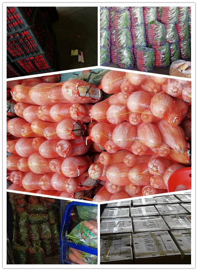 首页| PA视讯集团中国官方网站