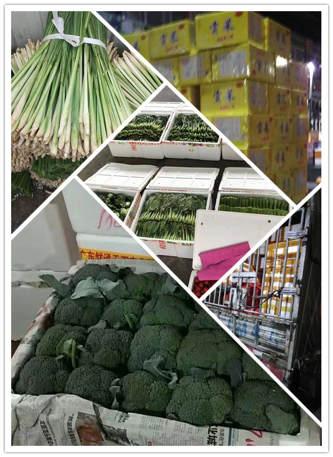 首页| PA视讯集团中国官方网站