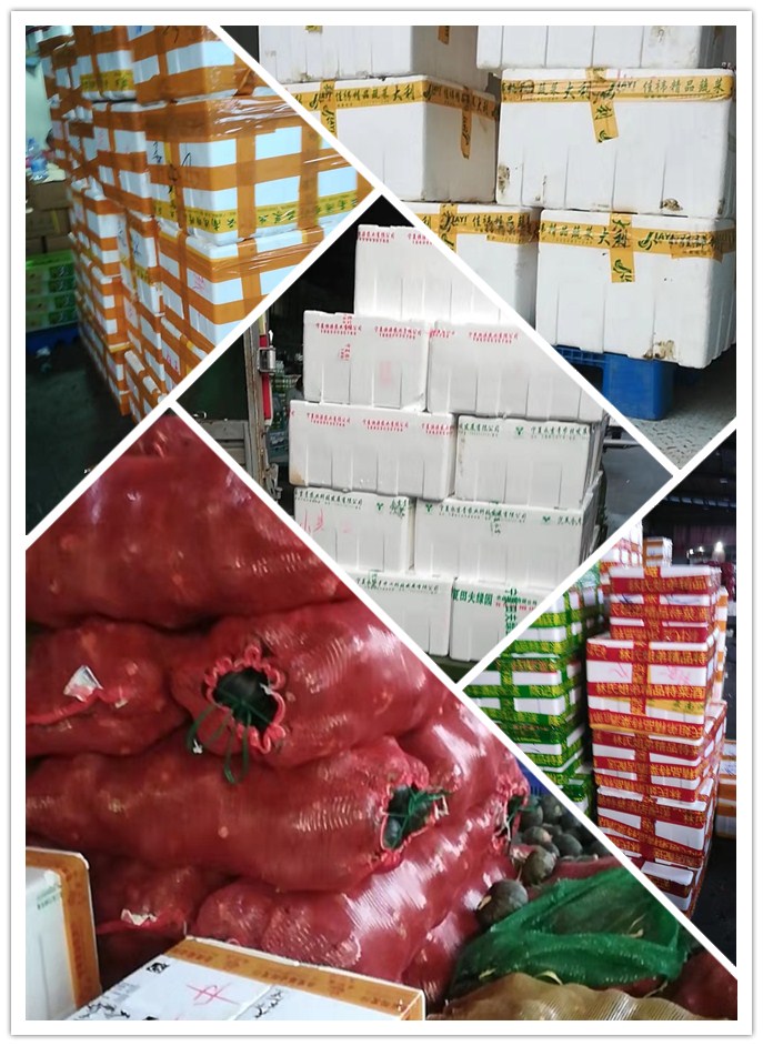 首页| PA视讯集团中国官方网站