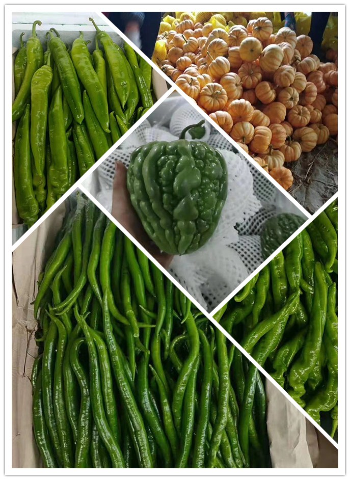 首页| PA视讯集团中国官方网站