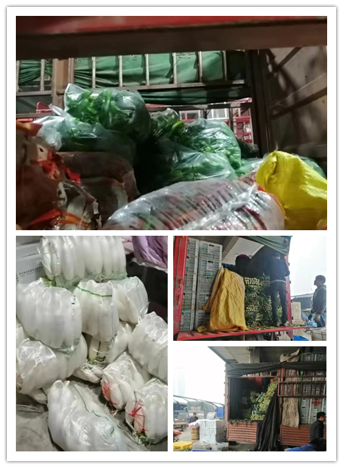 首页| PA视讯集团中国官方网站