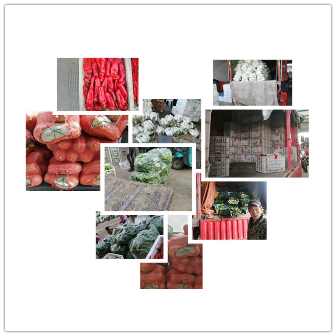 首页| PA视讯集团中国官方网站