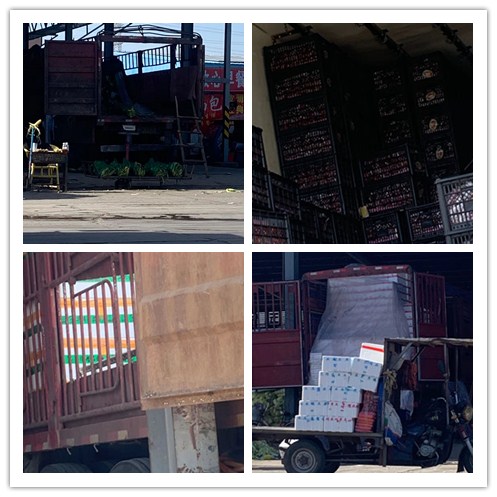 首页| PA视讯集团中国官方网站