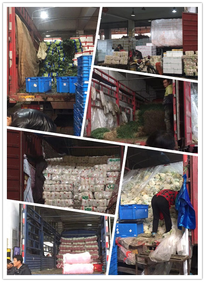 首页| PA视讯集团中国官方网站