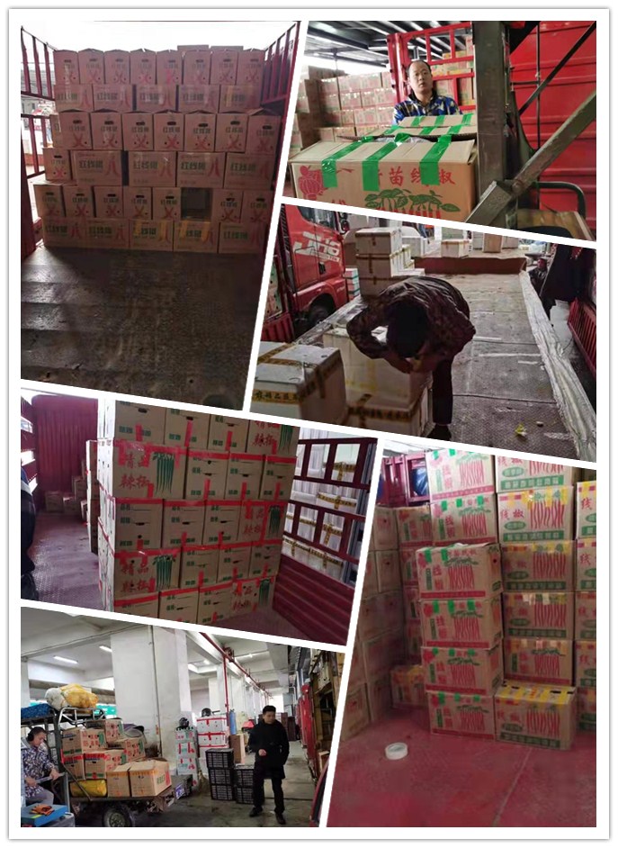 首页| PA视讯集团中国官方网站