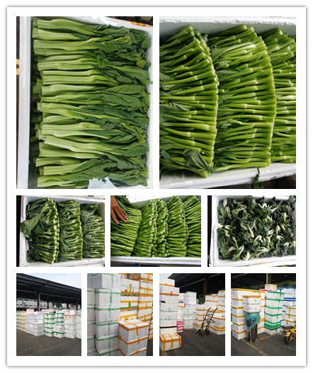 首页| PA视讯集团中国官方网站