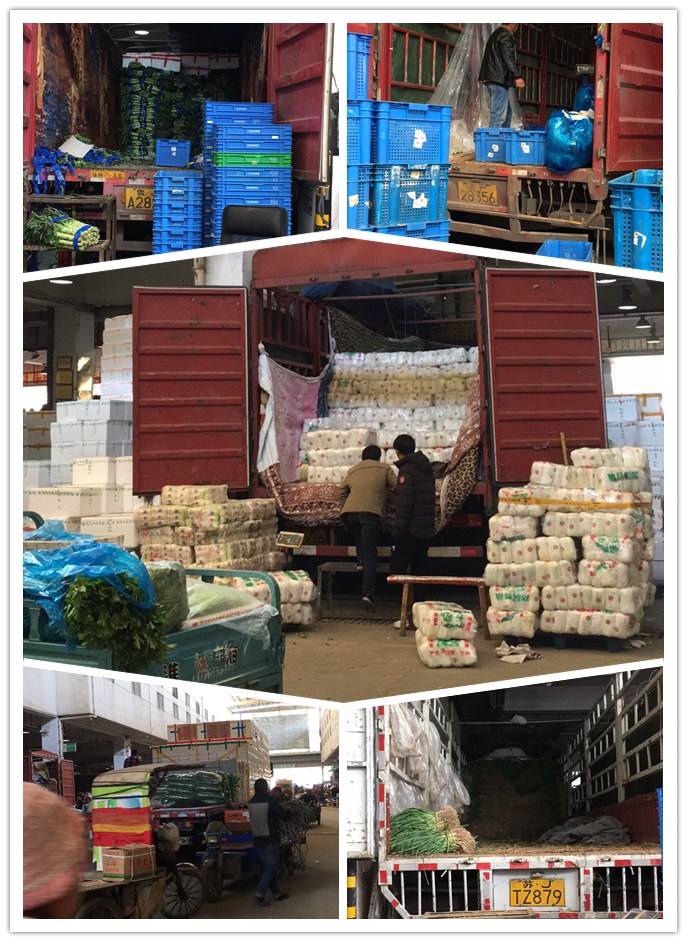 首页| PA视讯集团中国官方网站