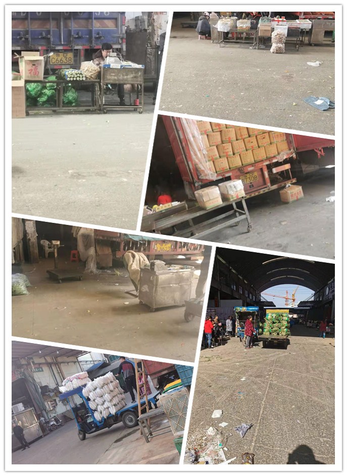 首页| PA视讯集团中国官方网站