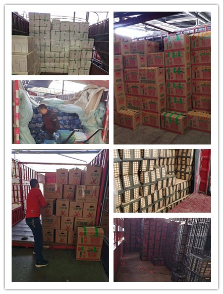 首页| PA视讯集团中国官方网站