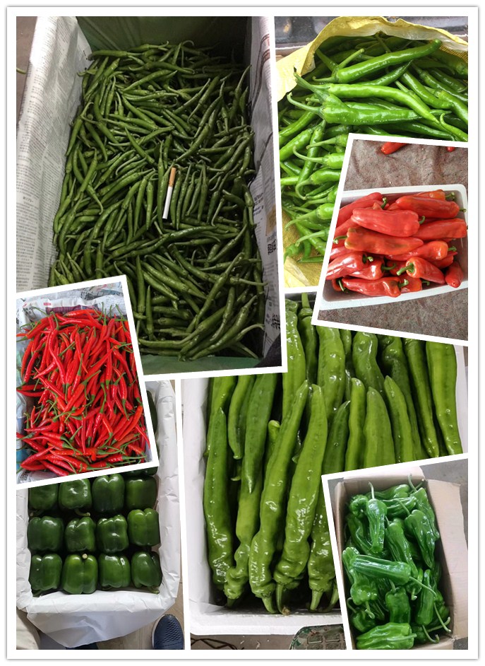 首页| PA视讯集团中国官方网站