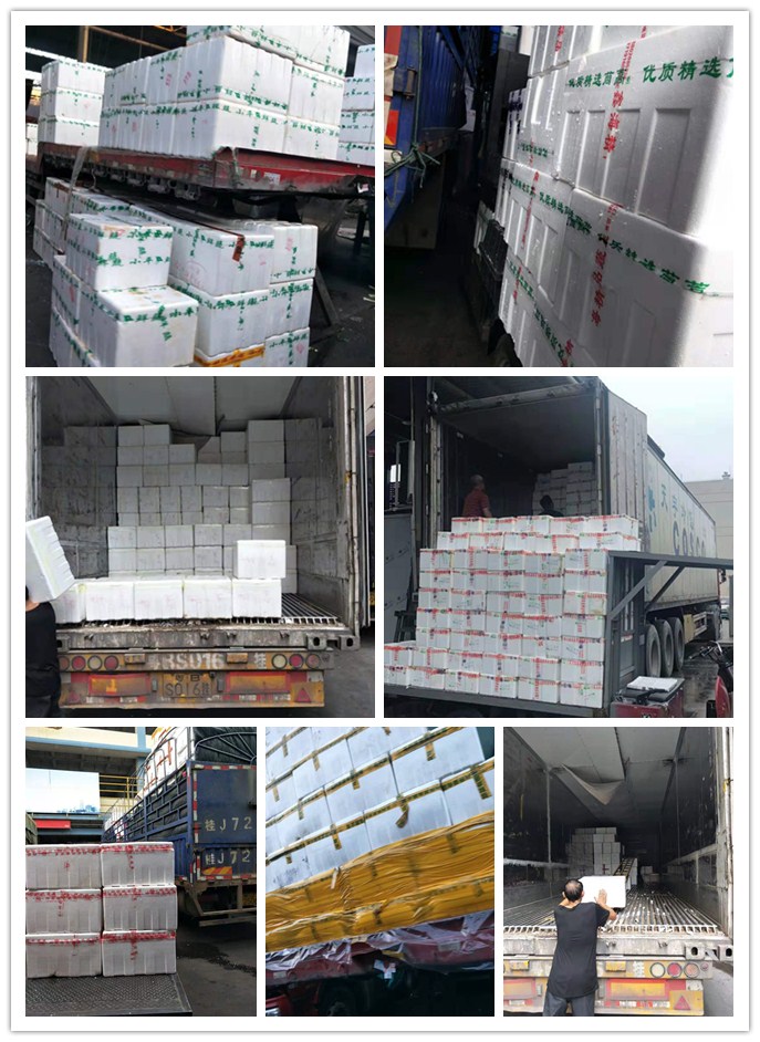 首页| PA视讯集团中国官方网站