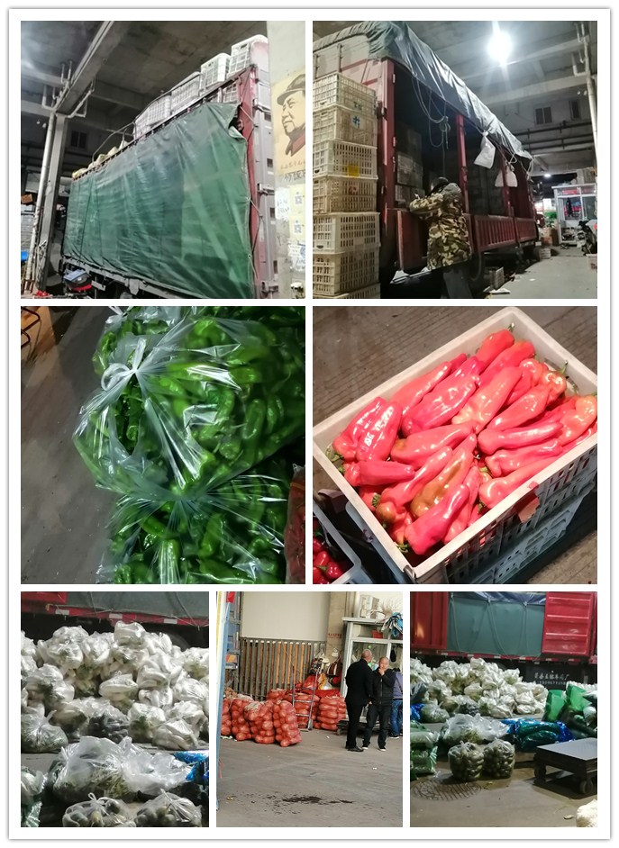 首页| PA视讯集团中国官方网站