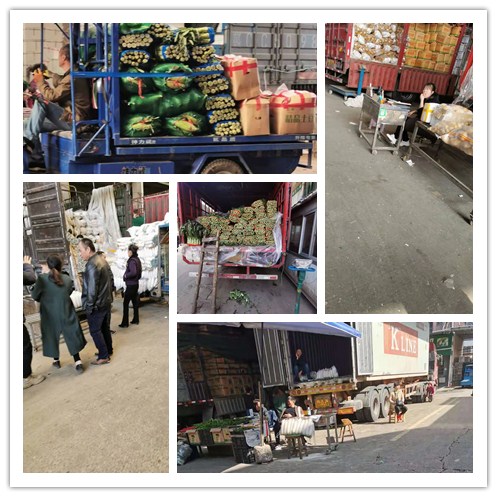 首页| PA视讯集团中国官方网站