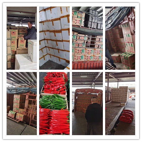 首页| PA视讯集团中国官方网站