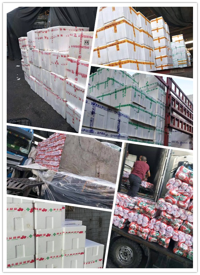 首页| PA视讯集团中国官方网站