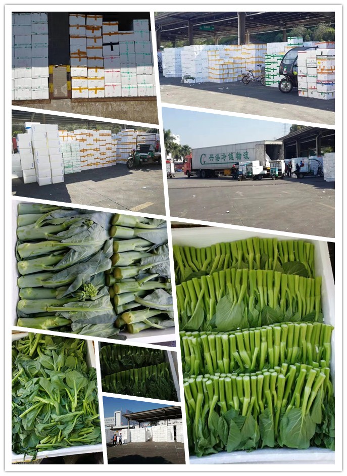 首页| PA视讯集团中国官方网站