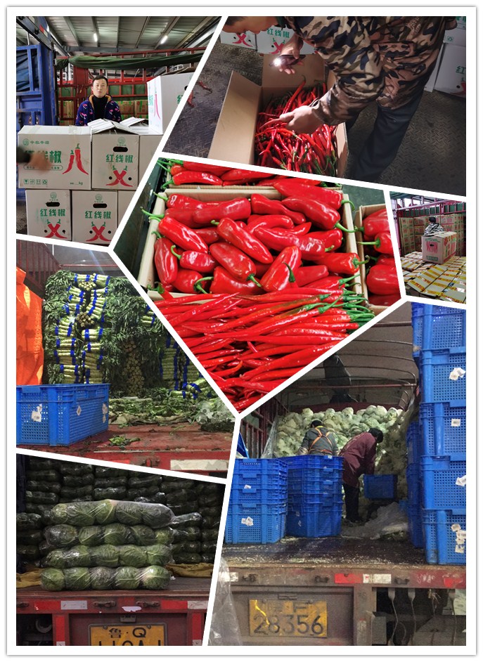 首页| PA视讯集团中国官方网站