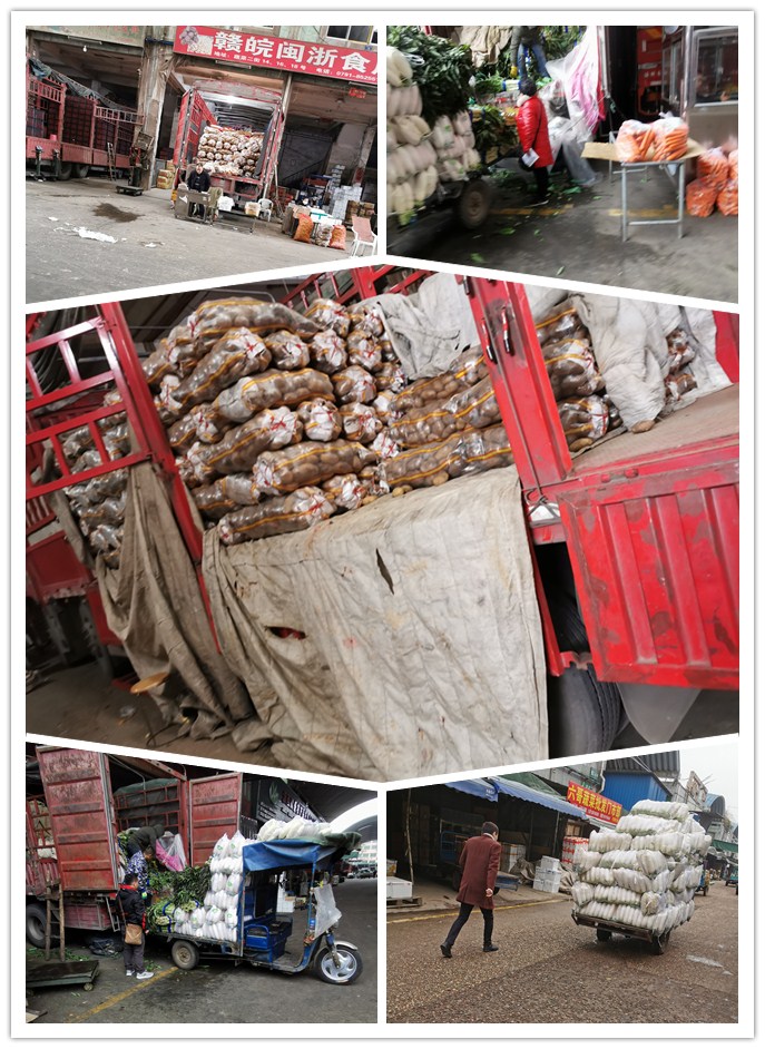 首页| PA视讯集团中国官方网站