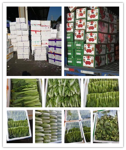 首页| PA视讯集团中国官方网站