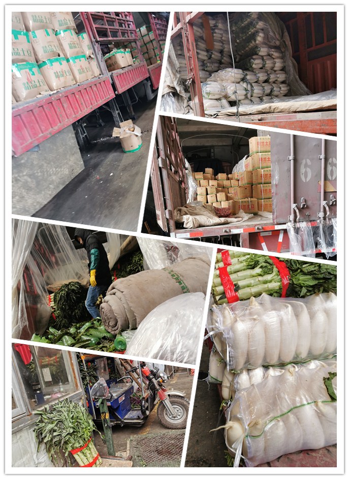 首页| PA视讯集团中国官方网站