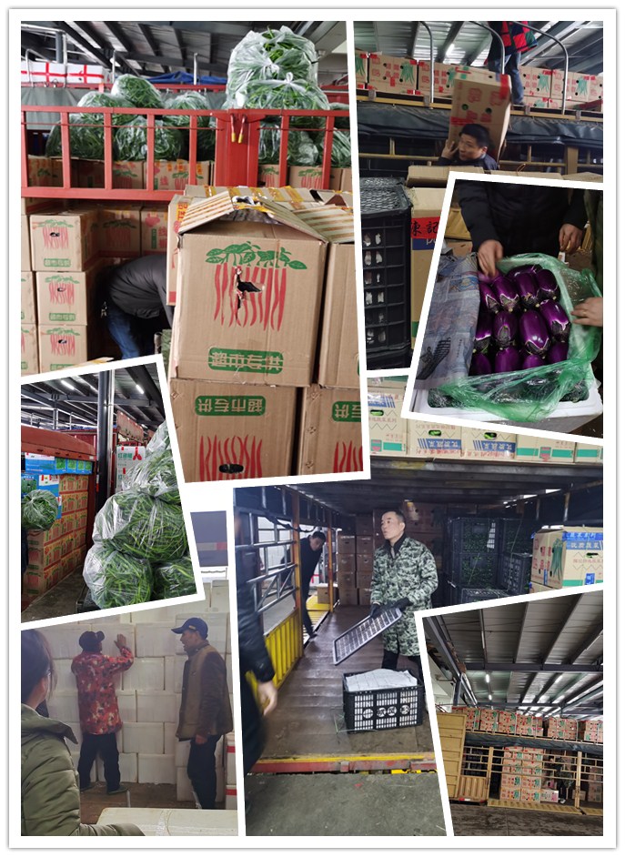 首页| PA视讯集团中国官方网站