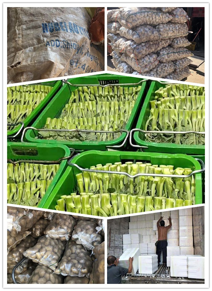 首页| PA视讯集团中国官方网站