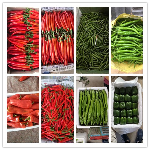 首页| PA视讯集团中国官方网站