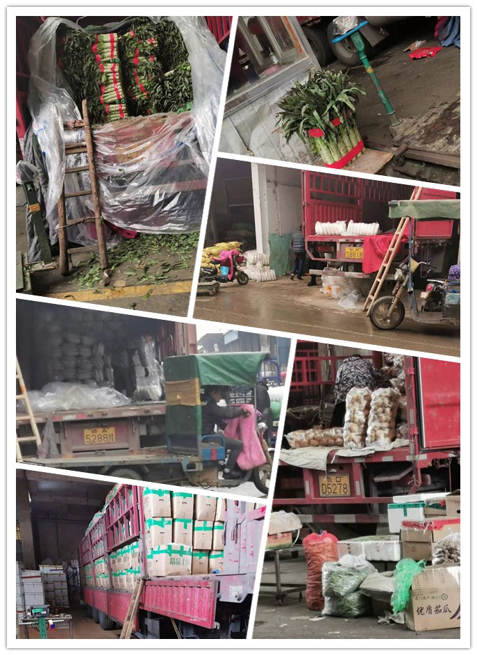 首页| PA视讯集团中国官方网站