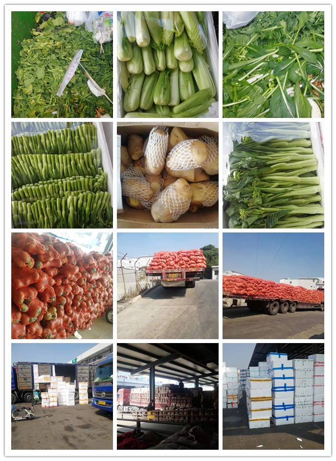 首页| PA视讯集团中国官方网站