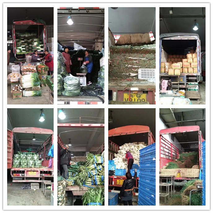 首页| PA视讯集团中国官方网站