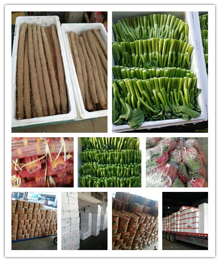 首页| PA视讯集团中国官方网站