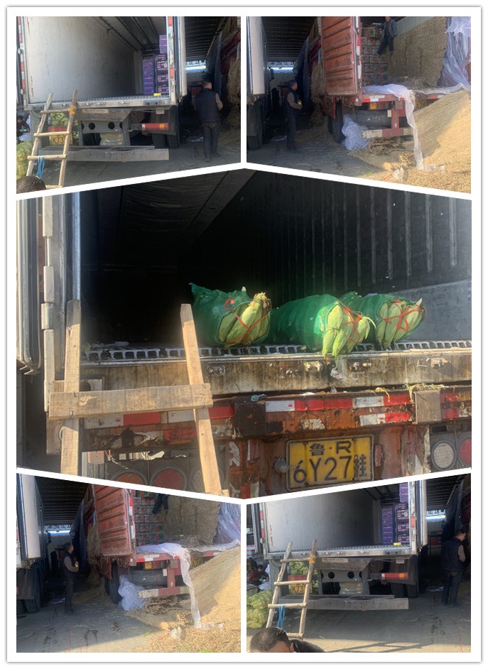 首页| PA视讯集团中国官方网站