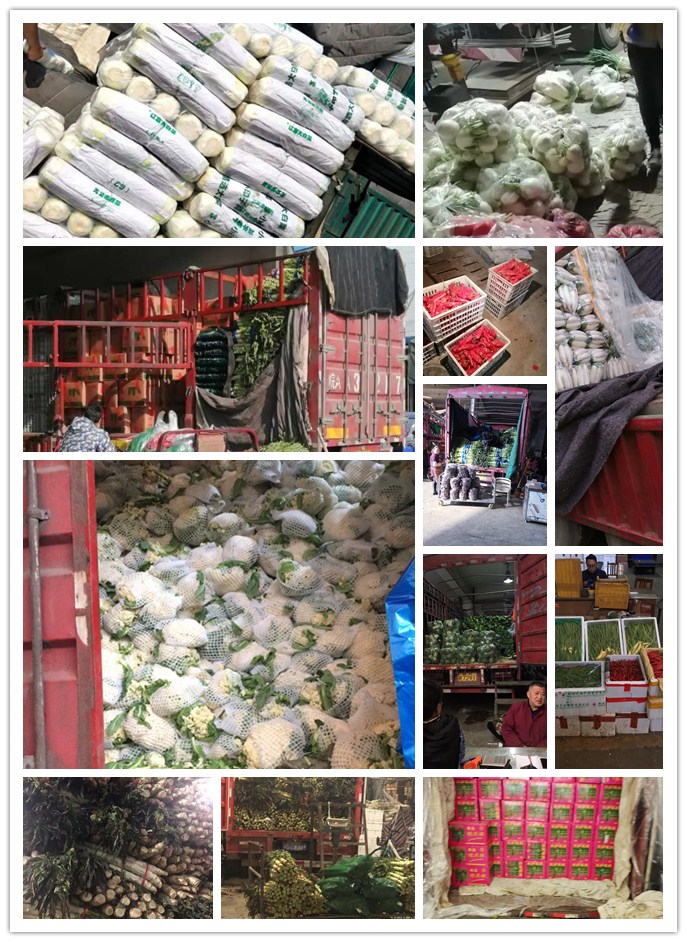 首页| PA视讯集团中国官方网站