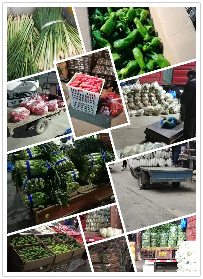 首页| PA视讯集团中国官方网站