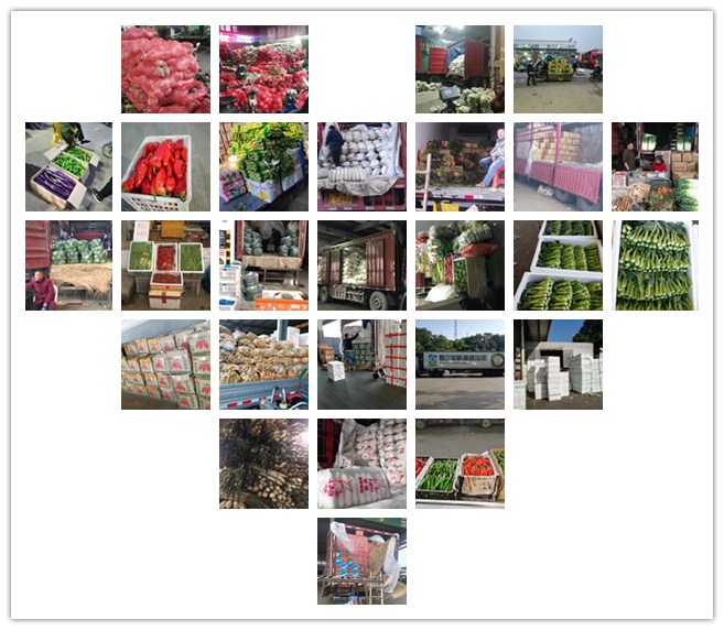 首页| PA视讯集团中国官方网站